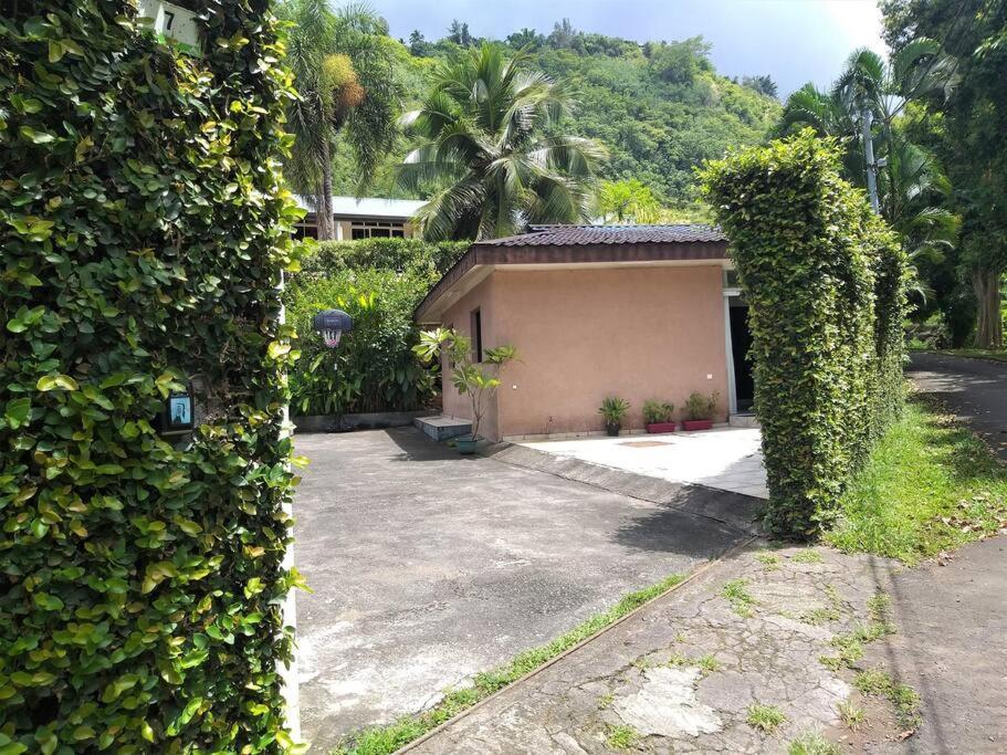 Vacation House In Tahiti Punaauia  Εξωτερικό φωτογραφία